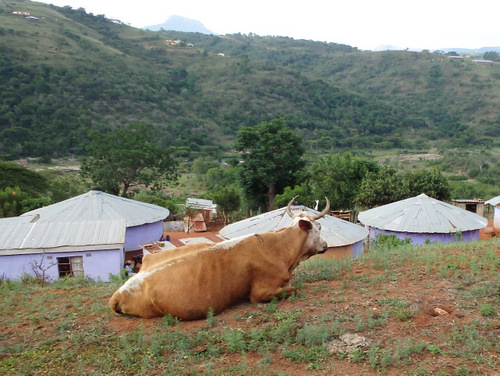 Family Farm overview.